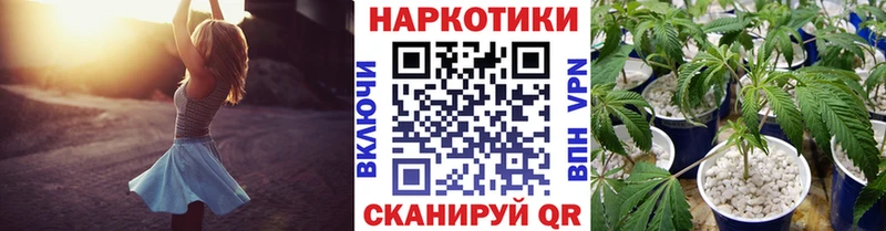 Наркота Ишим Бошки Шишки  БУТИРАТ  Гашиш  Альфа ПВП 