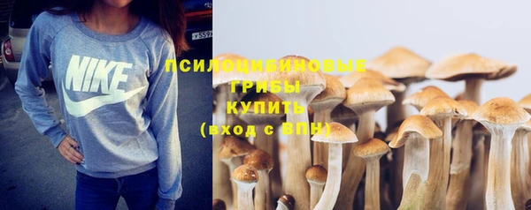 бутират Надым