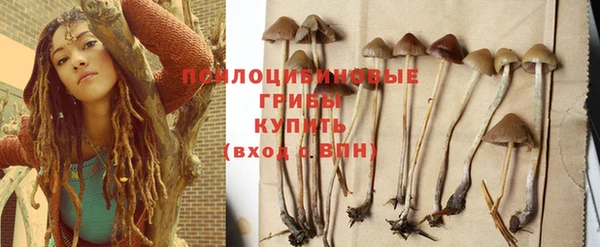 тгк Нефтегорск