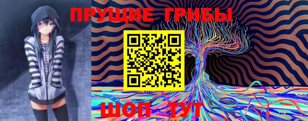 Галлюциногенные грибы Magic Shrooms  Вход с VPN  Ишим  Галлюциногенные грибы мицелий 